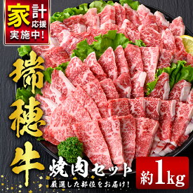 【ふるさと納税】 瑞穂牛焼肉セット 1.0Kg 牛肉 やきにく 国産牛 バラ 肩ロース 肩 モモ ブランド牛 茨城県 お中元 瑞穂牛 焼肉 盛り合わせ 食べ比べ 国産 肉 BBQ セット 【（株）フロンティアロード】【ho0903-1】