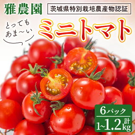 【ふるさと納税】雅農園 ミニトマト 6パック トマト 野菜 とまと やさい 新鮮 産地直送 ミニトマト 【雅農園】【ho1428】