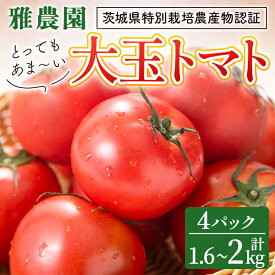 【ふるさと納税】＜先行予約受付中！2026年11月上旬以降順次発送予定＞ 雅農園大玉 トマト 4パック 計1kg以上 トマト 野菜 とまと やさい 新鮮 産地直送 【雅農園】 【ho1429】