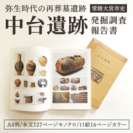 【ふるさと納税】中台遺跡 発掘 調査 報告書 遺物 遺跡 土器 古墳 歴史 資料 日本史 茨城県 【常陸大宮市教育委員会事務局文化スポーツ課】【ho1498】