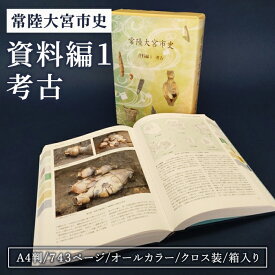 【ふるさと納税】常陸大宮市史　資料編1　考古 研究 調査 資料 歴史 日本史 オールカラー 茨城県 常陸大宮市 【常陸大宮市教育委員会事務局文化スポーツ課】【ho1500】