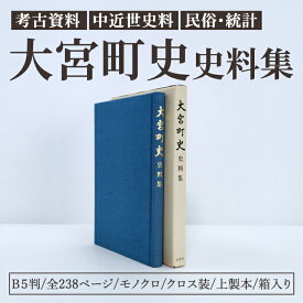 【ふるさと納税】大宮町史史料集 1冊 史料 資料 町史 大宮町 考古 中近世 民俗 茨城県 常陸大宮市 【常陸大宮市教育委員会事務局文化スポーツ課】【ho1513】