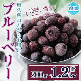 【ふるさと納税】＜先行予約受付中！2026年7月中旬以降順次発送予定＞＜選べる内容量＞冷凍ブルーベリー(200g〜1.2kg) ブルーベリー 果物 フルーツ 青果物 冷凍 スムージー ヨーグルト おやつ 【奥久慈 まほろばの郷 ふれあい農園】【ho1520】【ho1521】【ho1523】【ho1524】