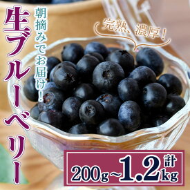 【ふるさと納税】【期間限定】＜選べる内容量＞完熟、濃厚生ブルーベリー(200g〜1.2kg) ブルーベリー 果物 フルーツ 青果物 クール便 ヨーグルト 【奥久慈 まほろばの郷 ふれあい農園】【ho1526】【ho1527】【ho1528】【ho1529】