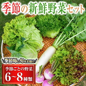 【ふるさと納税】 季節毎の新鮮野菜セット 野菜 野菜セット セット 詰め合わせ 国産 旬 季節 おまかせ お楽しみ 冷蔵 【あさねぼう】【ho1537】