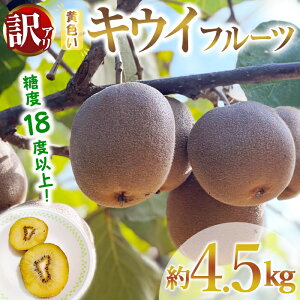 yӂ邳Ɣ[Łzys\zy󂠂z錧Y FLEC 4.5kg 󂠂 A LEC LECt[c ʕ t[c ʕ y΂t@[zyho1550z