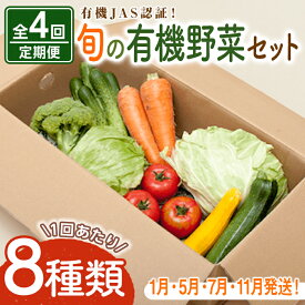 【ふるさと納税】 コトコトファーム 旬の有機栽培野菜セット 全4回 定期便 野菜 セット 有機JAS 詰め合わせ 国産 旬 季節 おまかせ お楽しみ 冷蔵 【コトコトファーム】【ho1552】