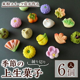 【ふるさと納税】季節デザインの上生菓子(練り切り)6個入り 菓子 お菓子 米粉 練り切り 和菓子 上生菓子 ギフト 贈答 贈り物 詰め合わせ セット 冷凍 グルテンフリー 【米粉スイーツKu-】【ho1564】