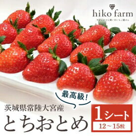 【ふるさと納税】【期間限定】いちごのおくりもの（最高級とちおとめ）1シート（12〜15粒） いちご イチゴ 苺 とちおとめ フルーツ 果物 くだもの デザート 期間限定 【hiko farm（ヒコファーム）】【ho1569】
