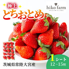 【ふるさと納税】【期間限定】いちごのおくりもの（極上とちおとめ）1シート（12〜15粒） いちご イチゴ 苺 とちおとめ フルーツ 果物 くだもの デザート 期間限定 【hiko farm（ヒコファーム）】【ho1569】