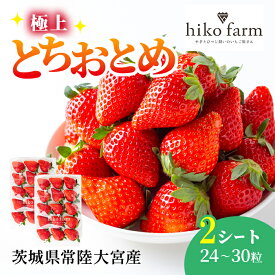 【ふるさと納税】【期間限定】いちごのおくりもの（極上とちおとめ）2シート（24〜30粒） いちご イチゴ 苺 とちおとめ フルーツ 果物 くだもの デザート 期間限定 【hiko farm（ヒコファーム）】【ho1570】