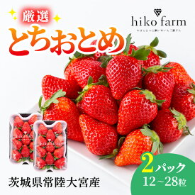 【ふるさと納税】【期間限定】ごほうびいちご（厳選とちおとめ）2パック入り（12～28粒）黒パッケージ いちご イチゴ 苺 とちおとめ フルーツ 果物 くだもの デザート 期間限定 【hiko farm（ヒコファーム）】 【ho1571】