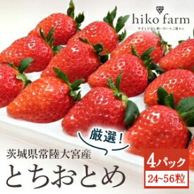 【ふるさと納税】【期間限定】ごほうびいちご（厳選とちおとめ）4パック入り（24〜56粒）黒パッケージ いちご イチゴ 苺 とちおとめ フルーツ 果物 くだもの デザート 期間限定 【hiko farm（ヒコファーム）】【ho1572】