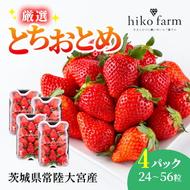 【ふるさと納税】【期間限定】ごほうびいちご（厳選とちおとめ）4パック入り（24〜56粒）黒パッケージ いちご イチゴ 苺 とちおとめ フルーツ 果物 くだもの デザート 期間限定 【hiko farm（ヒコファーム）】【ho1572】