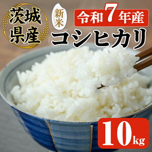 yӂ邳Ɣ[Łzys\z  V ߘa7N 헤{Y RVqJ 10kg ߘa7NY    R  ͂ RVqJ Ђ 10kg 10LyJA헤@헤_Ƌgzy