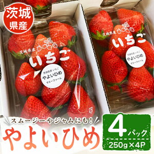 yӂ邳Ɣ[Łzys\zi悢Ђ߁j  C`S  悢Ђ t[c ʕ  fU[g X[W[ W ymommy farmzyho1593z