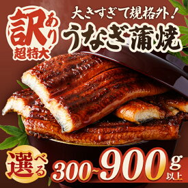 【ふるさと納税】 ＜すぐ届く！＞【数量限定 900g以上 10,000円】訳あり うなぎ 蒲焼き 約300g ～990g (1尾あたり300g～330g×1尾~3尾、タレ・山椒付き) 【選べる内容量】 冷凍 鰻 ウナギ 規格外 ご家庭用 訳アリ 丑の日 茨城県 【そうざい男しゃく（株式会社池延）】