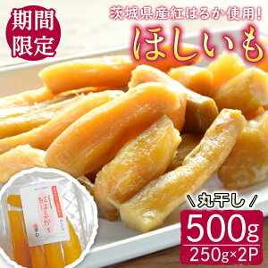 yӂ邳Ɣ[Łzy\tIz錧Yg͂邩gp@iۊj500g ܂ Tc}C ׂɂ͂邩 g͂邩  ق ۊ ① yK_zyho1620z