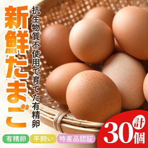 yӂ邳Ɣ[Łz ΍܂̕L 30 ܂ ^}S { ʎq  퉷 錧 igp pbN  30 y΍܂zyho1622z