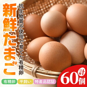 yӂ邳Ɣ[Łz ΍܂̕L 60 ܂ ^}S { ʎq  퉷 錧 igp pbN  60 y΍܂zyho1623z