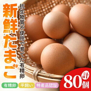 yӂ邳Ɣ[Łz ΍܂̕L 80 ܂ ^}S { ʎq  퉷 錧 igp pbN  80 y΍܂zyho1624z