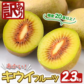 【ふるさと納税】＜先行予約受付中！2026年10月以降順次発送予定＞【訳あり】茨城県産 あかいキウイ 2.3kg キウイ キウイフルーツ 果物 フルーツ 青果物 先行予約 訳あり【こばしファーム】【ho1651】