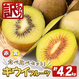 【ふるさと納税】＜先行予約受付中！2026年10月以降順次発送予定＞【訳あり】常陸大宮産 キウイ 食べ比べセット 計4.2kg キウイ キウイフルーツ 果物 フルーツ 青果物 食べ比べ セット 先行予約 訳あり【こばしファーム】【ho1652】