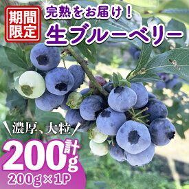 【ふるさと納税】＜先行予約受付中！2026年6月下旬以降順次発送予定＞完熟ブルーベリー 200g （200g×1パック） ブルーベリー 果物 フルーツ 青果物 冷蔵 スムージー ヨーグルト おやつ 【常陸太陽の庭】【ho1673】