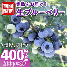 【ふるさと納税】＜先行予約受付中！2026年6月下旬以降順次発送予定＞完熟ブルーベリー 400g （200g×2パック） ブルーベリー 果物 フルーツ 青果物 冷蔵 スムージー ヨーグルト おやつ 【常陸太陽の庭】【ho1674】