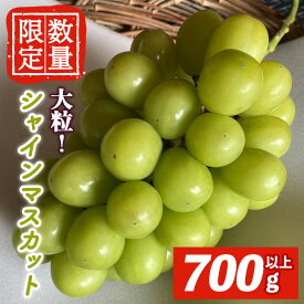 【ふるさと納税】＜先行予約受付中！2026年9月中旬以降順次発送＞ シャインマスカット1房 700g以上 マスカット ぶどう ブドウ 葡萄 フルーツ 果物 くだもの デザート 期間限定 先行予約 【舟ヶ作ぶどう園】【ho1722】