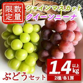 【ふるさと納税】＜先行予約受付中！2026年9月中旬以降順次発送＞ シャインマスカット クイーンニーナ セット 計1.4kg以上 マスカット クイーンニーナ ぶどう ブドウ 葡萄 フルーツ 果物 くだもの デザート 期間限定 先行予約 【舟ヶ作ぶどう園】【ho1723】
