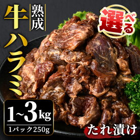 【ふるさと納税】＜選べる＞ 熟成 牛 ハラミ 1kg 2kg 3kg 味付け 味付け肉 小分け 冷凍 焼肉 焼き肉 牛 牛肉 肉 お肉 ビーフ お取り寄せ ご家庭用 ご自宅用 茨城県 【そうざい男しゃく（株式会社池延）】 【ho1468-1】【ho1469】【ho1470】