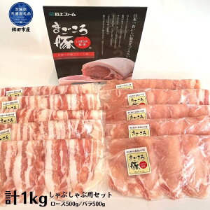 yӂ邳Ɣ[Łz܂ ԂԗpZbg 1Kg [X500g o500g 錧ʕԗi gcsY ō  Y Zbg [XXCX o Ԃ ؓ Ԃԓ 