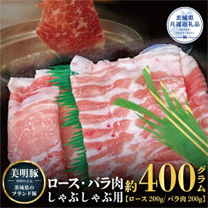 yӂ邳Ɣ[Łz Ԃԗp 400g [X200g ΂200g 錧ʕԗi uh  [X o Y ō Zbg [X o Ԃ p p 蕨 