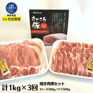 yӂ邳Ɣ[Łz3 ܂ ĂZbg 1kg [X&o ×3 錧ʕԗi gcsY 