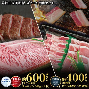 yӂ邳Ɣ[ŁzXe[LēZbg 헤Xe[L600gE؏ēp400g  ߍׂ _炩 Lȕ јa A4N A5N uh uh   Y 