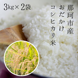 yӂ邳Ɣ[Łzߘa7NxY ߉ώsY RVqJ 3kg×2       Y ͂  R  Mtg 蕨 ٓ ٓ ɂ ӂ c