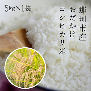 yӂ邳Ɣ[Łzߘa7NxY ߉ώsY RVqJ 5kg       Y ͂  R  Mtg 蕨 ٓ ٓ ɂ ӂ cc