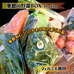 yӂ邳Ɣ[ŁztF~G BOX10`12i { Zbg VN g}g 卪 Ⴊ ق イ ڂ iX s[} ubR[ Ƃ낱 ܂˂ ^X { I 