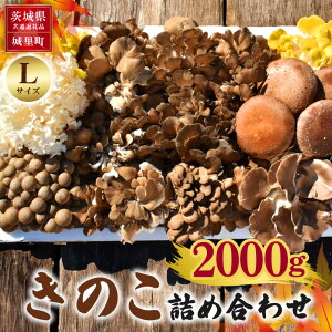 yӂ邳Ɣ[Łẑ̋lߍ킹 Iׂ S M L TCY 1kg 1.5kg 2kg 錧ʕԗi 闢Y  ő ё  ͂Ȃт S͔| ͔|Ԓ_sgp S S h{