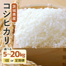 【ふるさと納税】令和7年度産 みねしまふぁーむ 常陸牛農家が育てるコシヒカリ 選べる 5kg 10kg 15kg 20kg 定期便 6か月 6ヶ月 コシヒカリ 低農薬 低化学肥料 米 精米 コシヒカリ米 茨城県産 白米 お米 コメ おこめ こしひかり 有機 ブランド 健康 ギフト 贈り物 送料無料