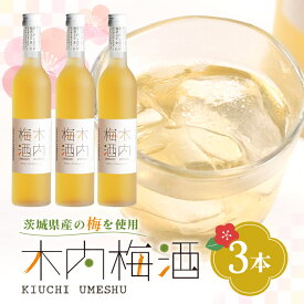 【ふるさと納税】梅酒 木内梅酒 3本セット 500ml×3本 果実酒 ウメ 人気 お土産 ギフト フルーティー 内祝い ご褒美 国産 紀州南高梅使用 お歳暮 お歳暮ギフト プレゼント お中元 敬老の日 うめ酒 梅酒 酒 アルコール 梅 常温 常温保存 送料無料
