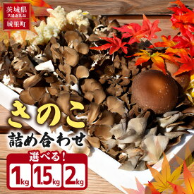【ふるさと納税】きのこの詰め合わせ 選べる S M L サイズ 1kg 1.5kg 2kg 茨城県共通返礼品 城里町産 舞茸 椎茸 あわび茸 たもぎ茸 はなびら茸 完全室内栽培 栽培期間中農薬不使用 安心 安全 栄養豊富 こだわりのキノコ詰め合わせ 直送 新鮮 おすすめ セット 贈り物 送料無料