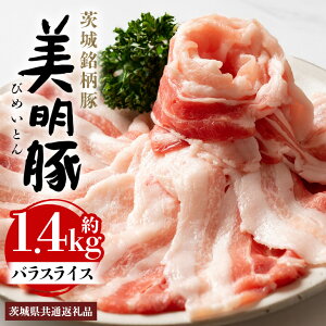 yӂ邳Ɣ[Łz oXCX 1.4kg 錧ʕԗi ssY т߂Ƃ rCg uh   ؓ  錧Y Y Ⓚ ؃o  Ԃ΂ XCX ؃o 