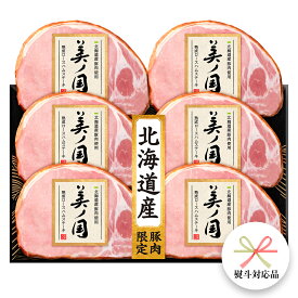 【ふるさと納税】【 熨斗 対応品 】 日本ハム 美ノ国 ギフトセットA 肉 にく 贈答 ギフト 詰め合わせ ハム 生ハム ロース ステーキ お中元 お歳暮 中元 歳暮
