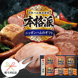 【ふるさと納税】 【 熨斗 対応品 】 日本ハム 筑西工場 本格派 ギフトセットA 肉 にく 贈答 ギフト 詰め合わせ ハム ソーセージ ウィンナー 生ハム お中元 お歳暮