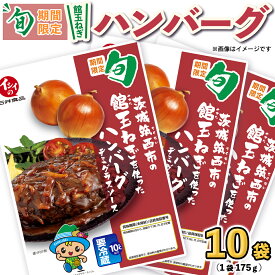 【ふるさと納税】【 期間限定 】 館玉ねぎ ハンバーグ ( デミグラスソース ) 10袋セット 無添加調理 肉 お肉 玉ねぎ 鶏肉 デミグラス ソース レンチン レンジ 温めるだけ 小分け