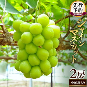 yӂ邳Ɣ[ŁzԌ I }sY VC}XJbg 2[ Ԃǂ uhE  t[c 2025NY