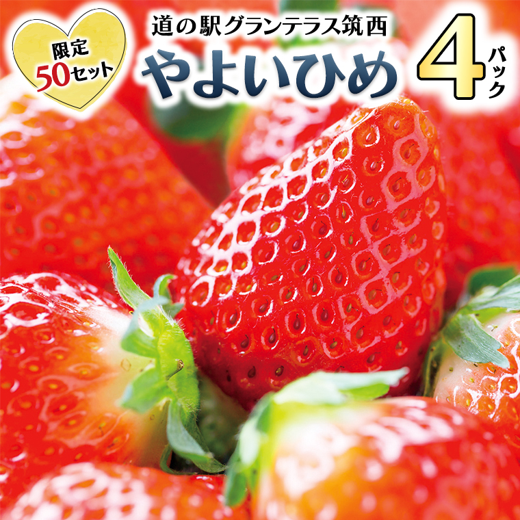 日本初の ふるさと納税 限定50セット 最安値挑戦 道の駅グランテラス筑西 苺 やよいひめ4パック イチゴ いちご