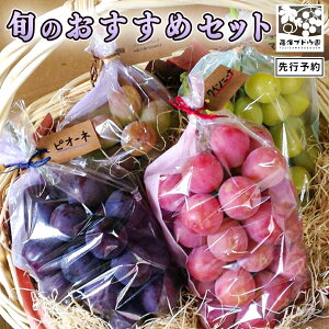 �y�ӂ邳�Ɣ[�Łz�y ���V�u�h�E�� �z �{ �� �������� �Z�b�g ��2.5kg 2026�N�Y ��s�\�� �Ԃǂ� ���� ���� ���� �V���C���}�X�J�b�g